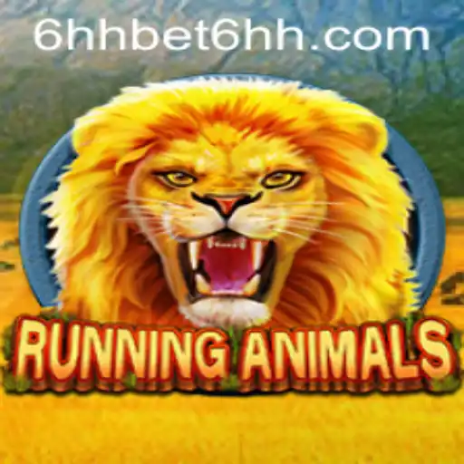 6hhbet Casino App
